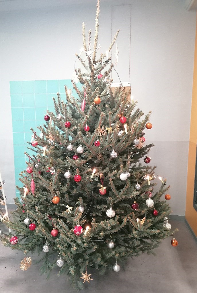 Geschmückter Weihnachtsbaum 